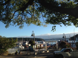 Friday Harbor